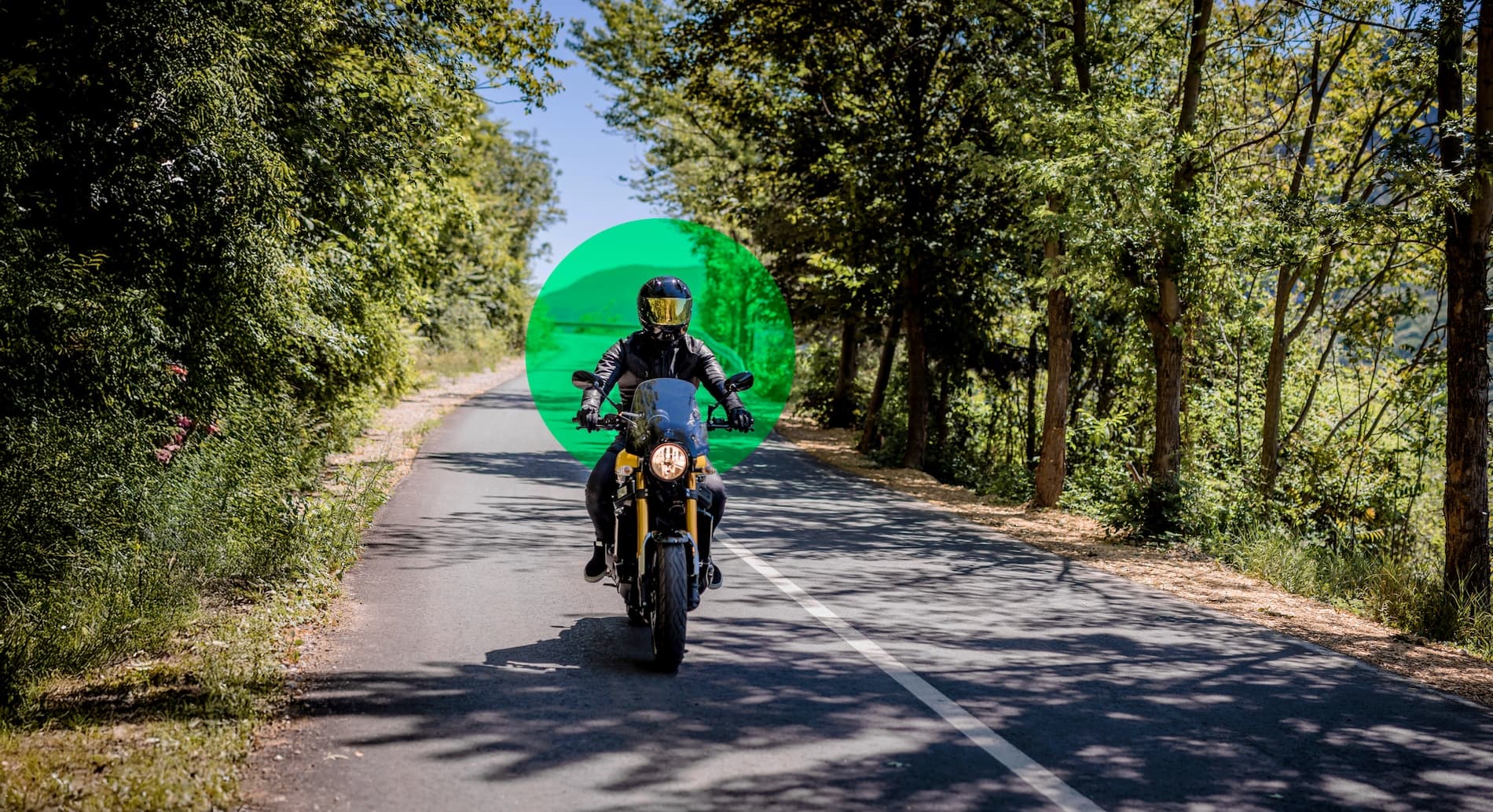 Person on motorcycle riding through a forest