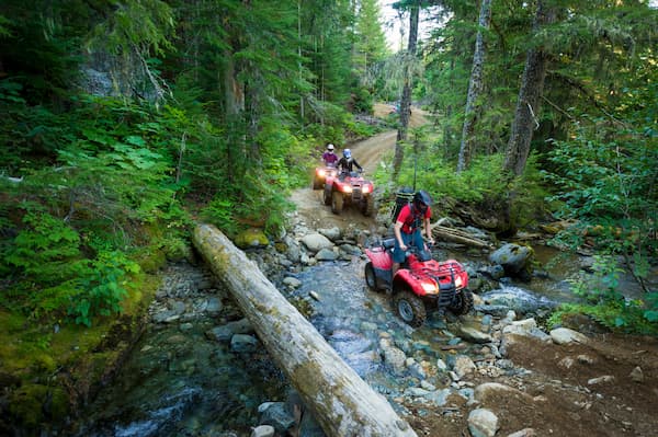 Team planning global expansion