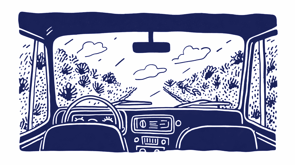 Windshield illustration